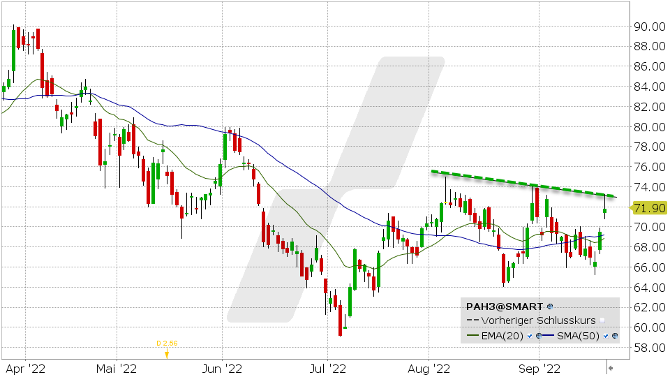 Fundamentalanalyse der Porsche Holding SE Aktie